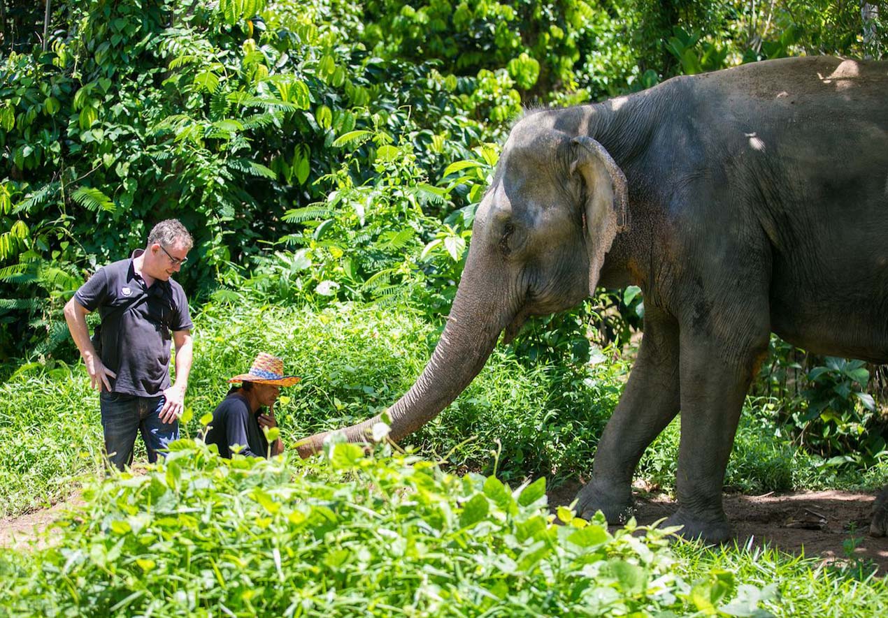 Responsible Wildlife Encounters in Phuket: Ethical Animal Experiences